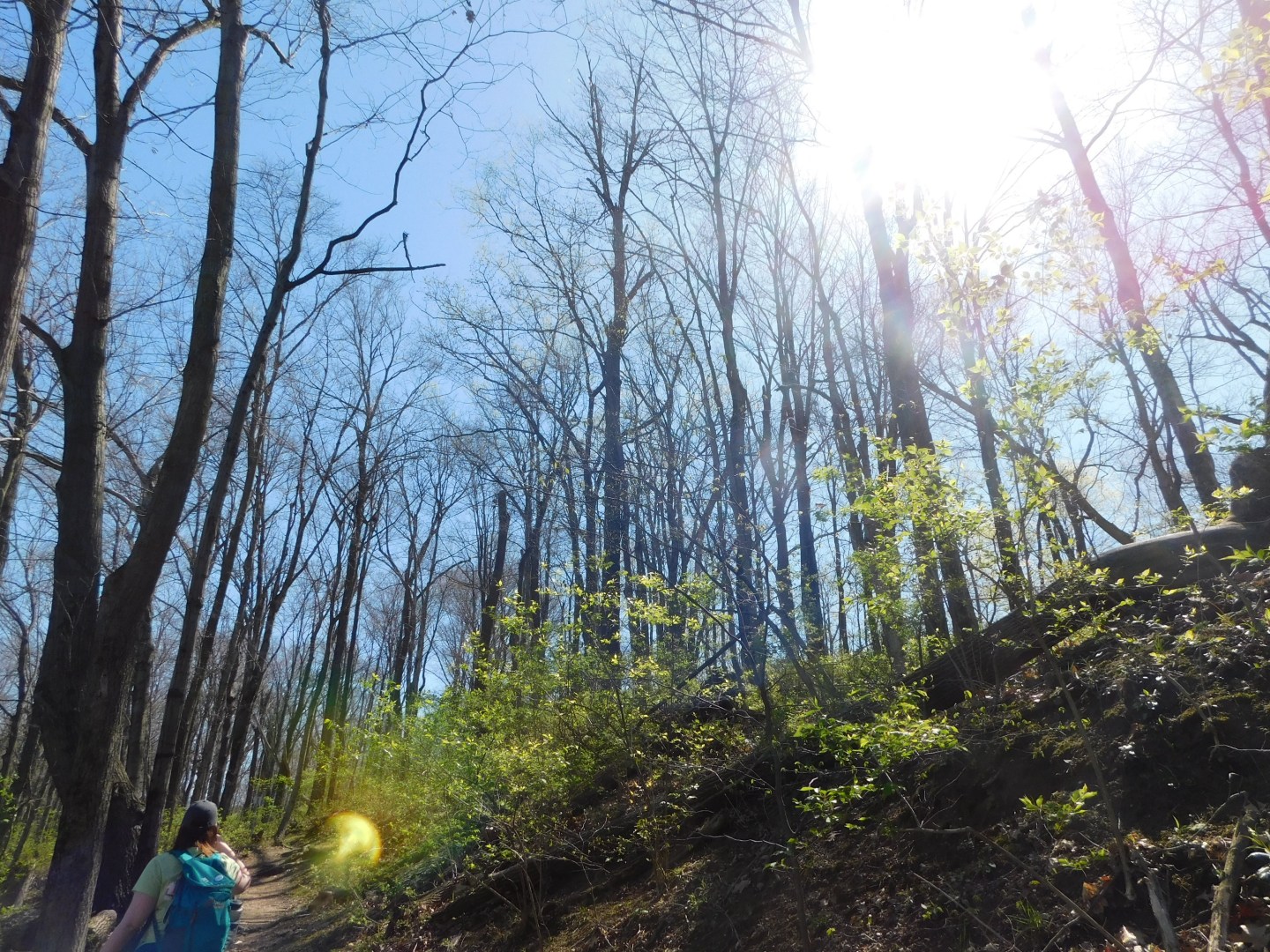 Kickapoo Sra Kickapoo State Recreation Area – Fresh Air Friendship