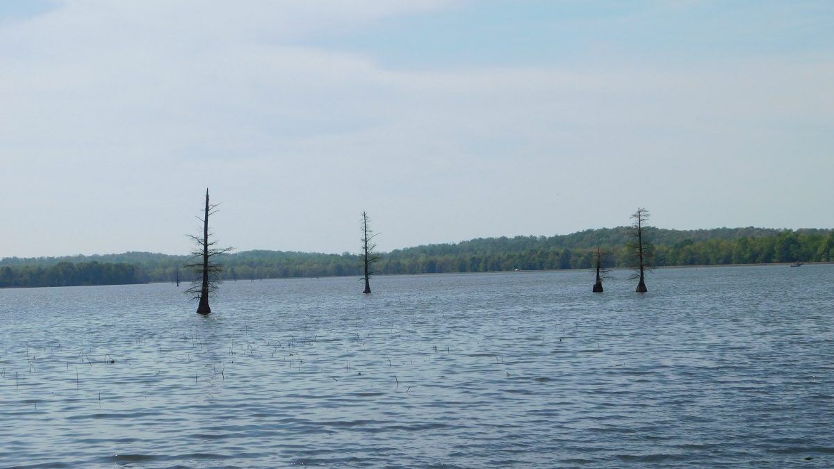 Sielbeck Forest SNA & Mermet Lake&nbsp;SFWA