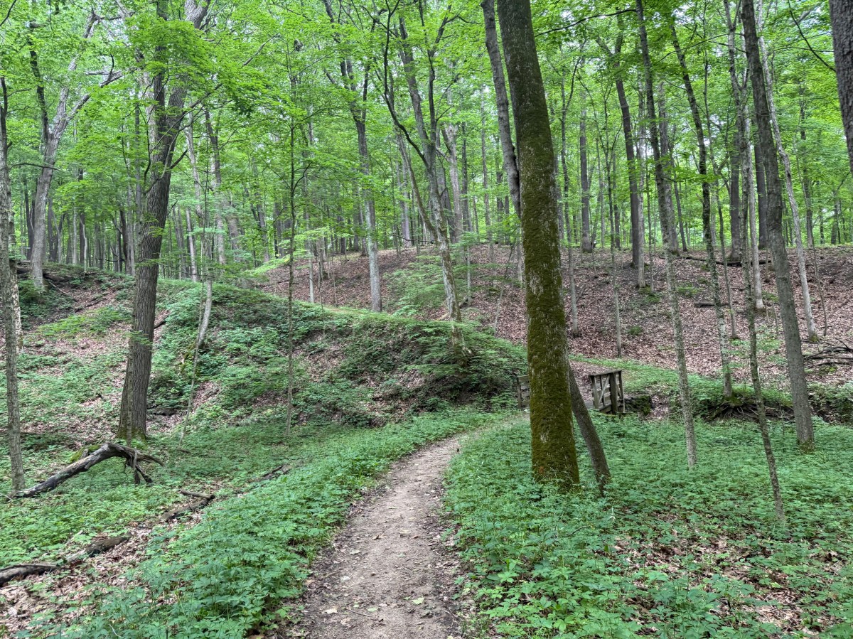 Fox Ridge State&nbsp;Park